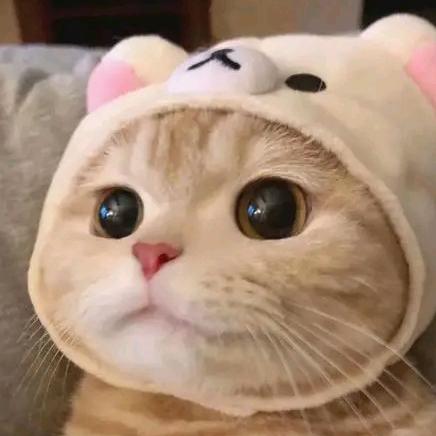 萌宠农场