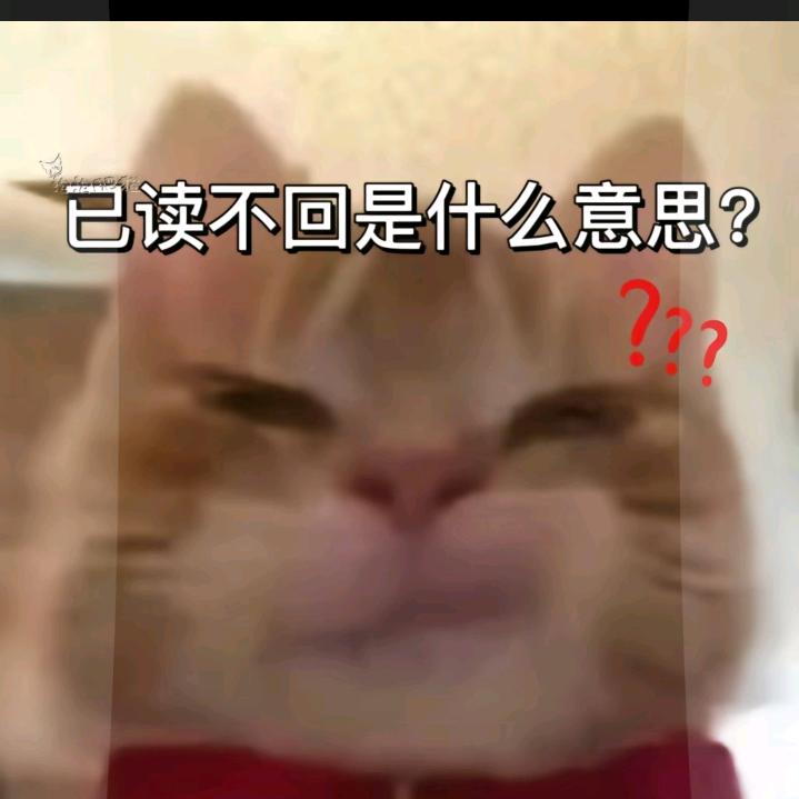 🌈小炮