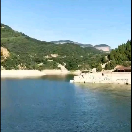 淑茝