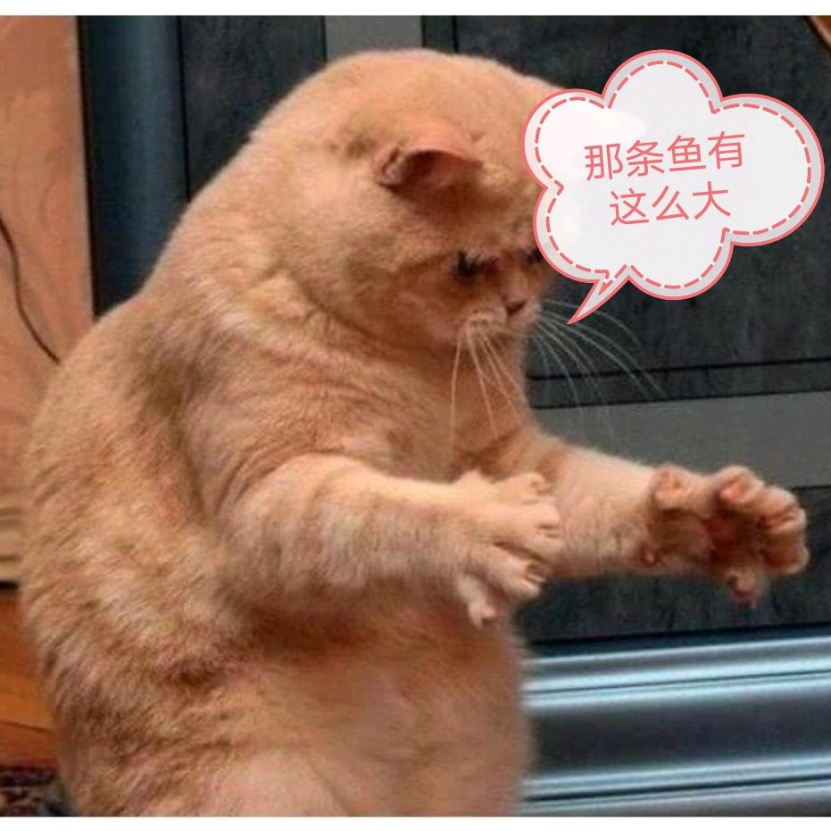 钓小钓大终钓鲲头像
