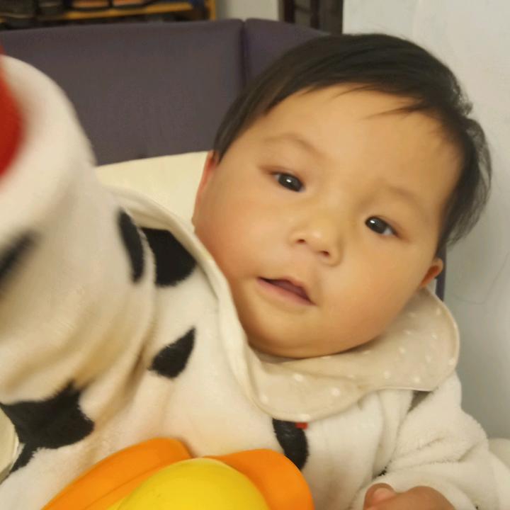 邦典的春天