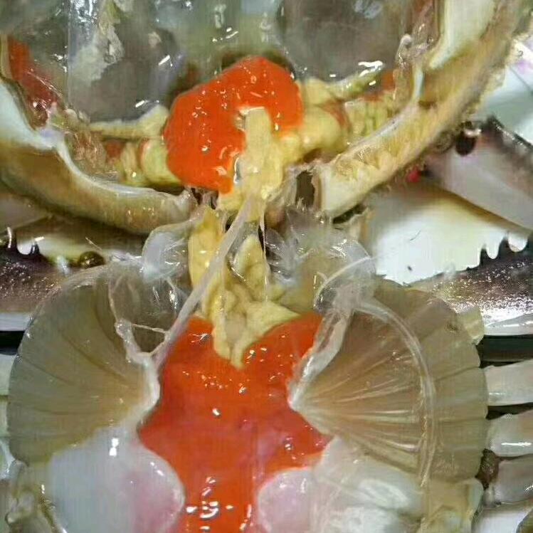 海鹰