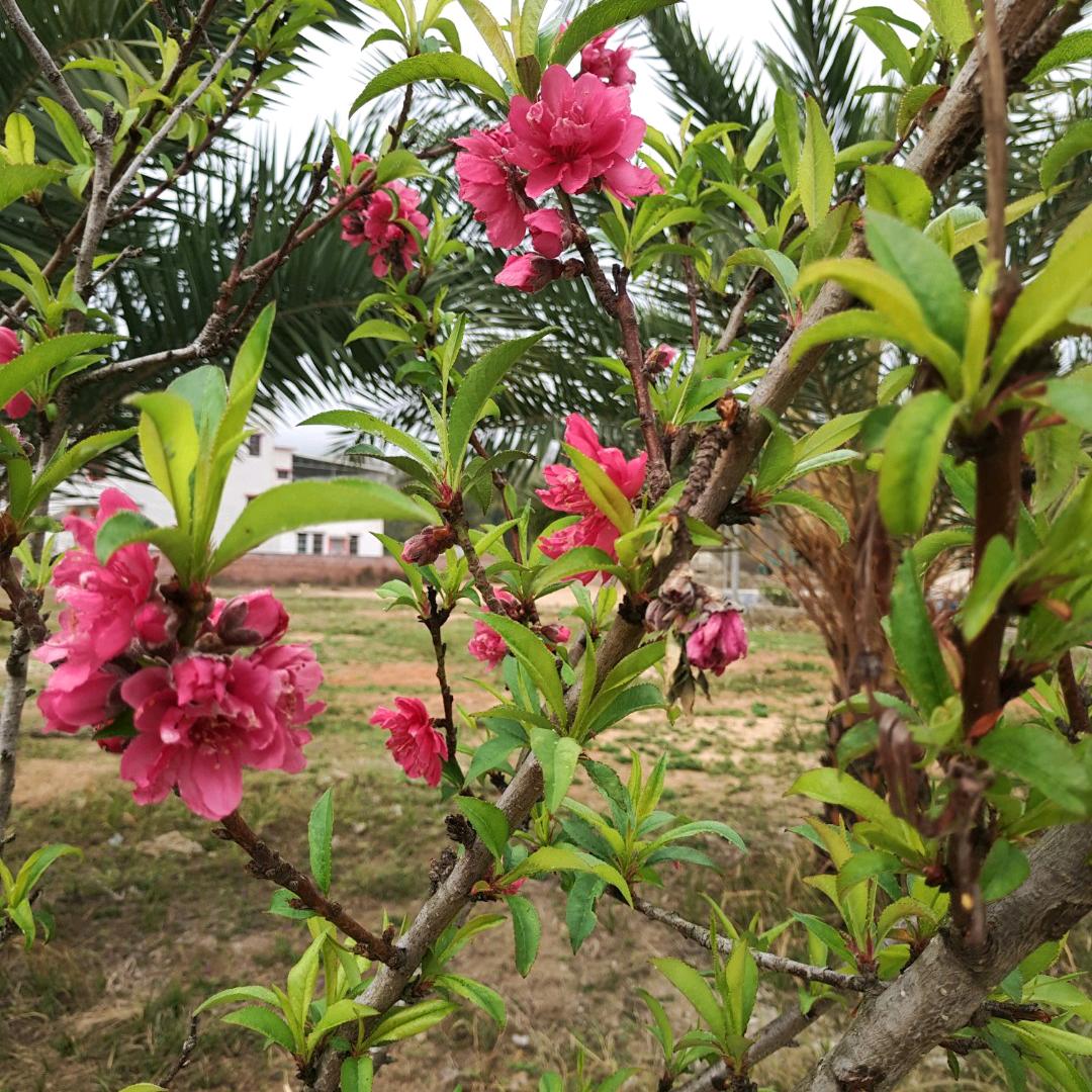 平凡的陪伴
