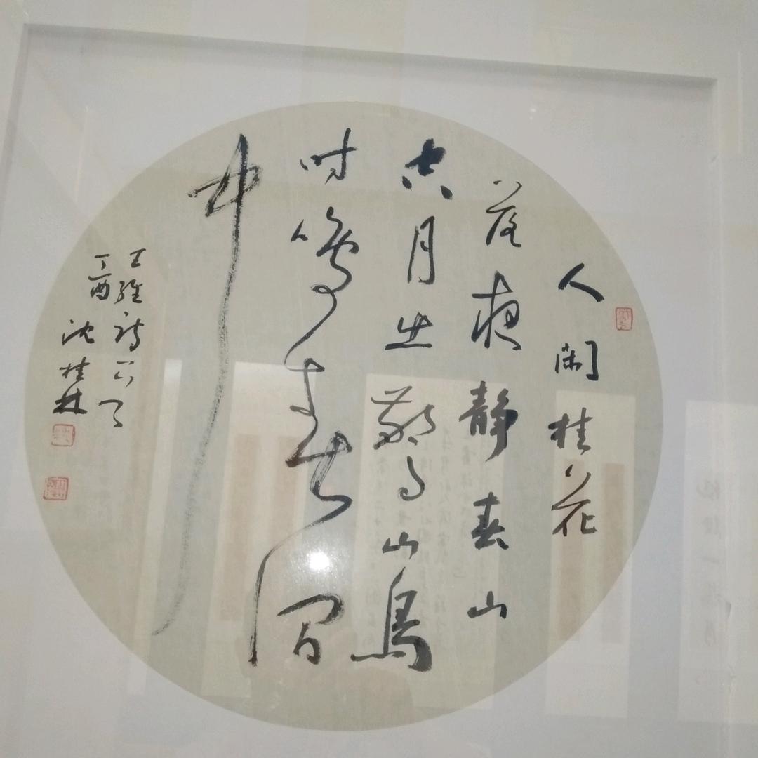 崇阳智哥