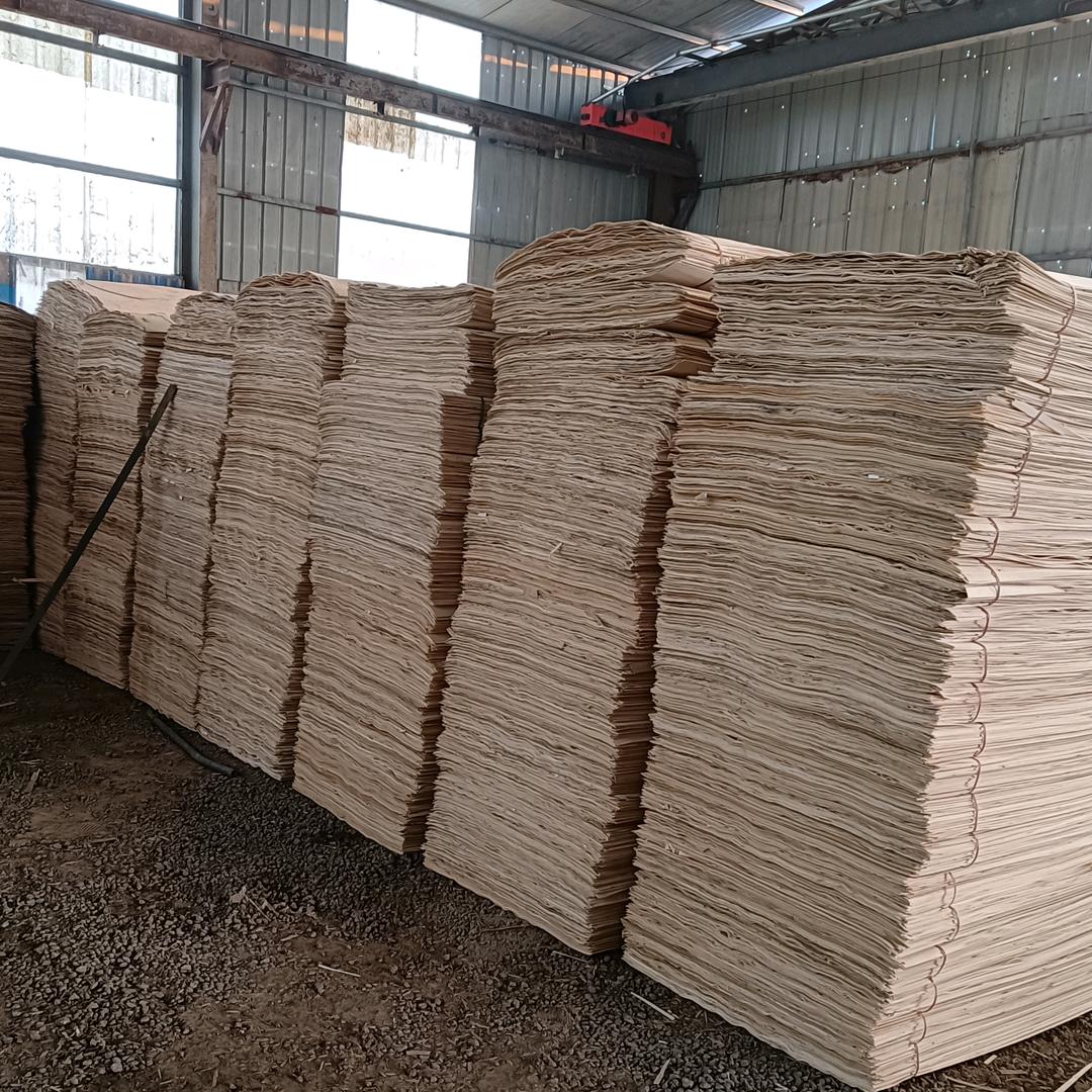 心静自然凉😄😄🎓🎓