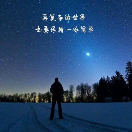 伟成机械租赁有限公司5到50吨挖机出租