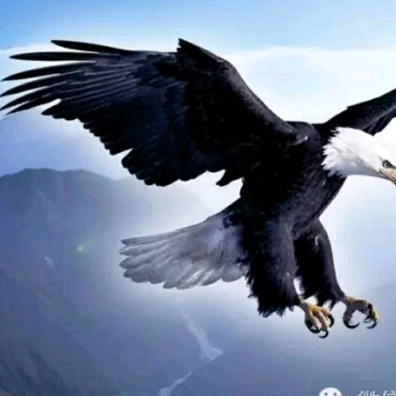 宁静致远、湖北襄阳（梁哥）󾓭