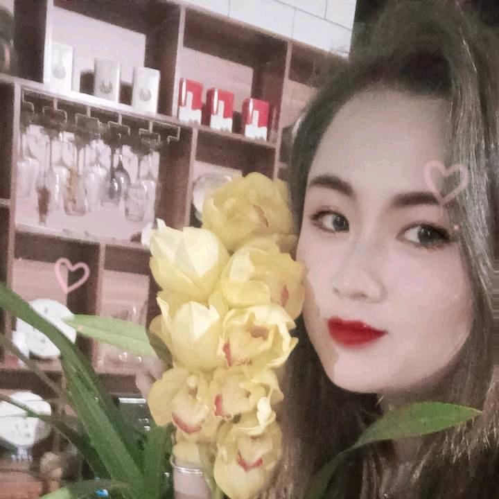 小多肉🍀☘️🌿