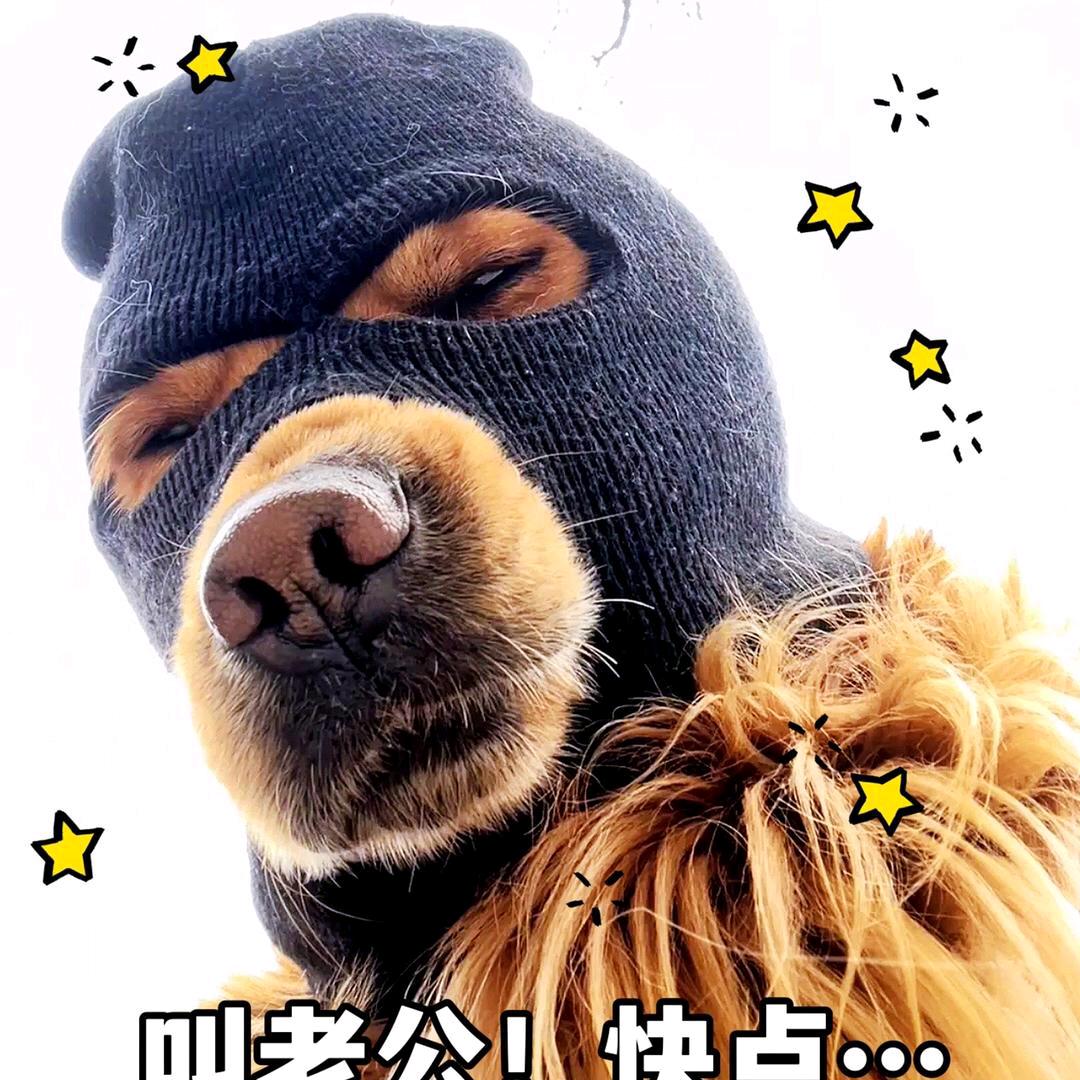 凋零的桃花