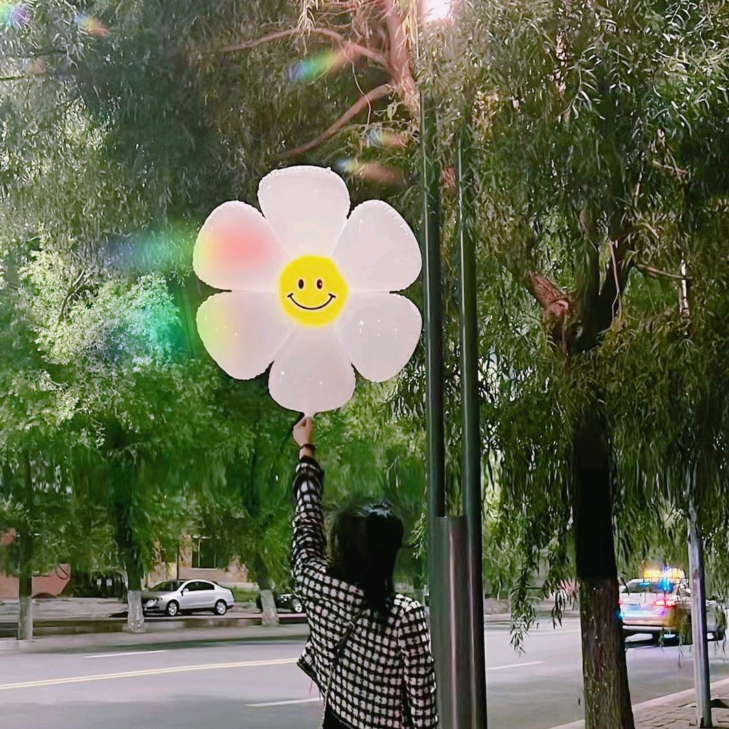 杨小四儿
