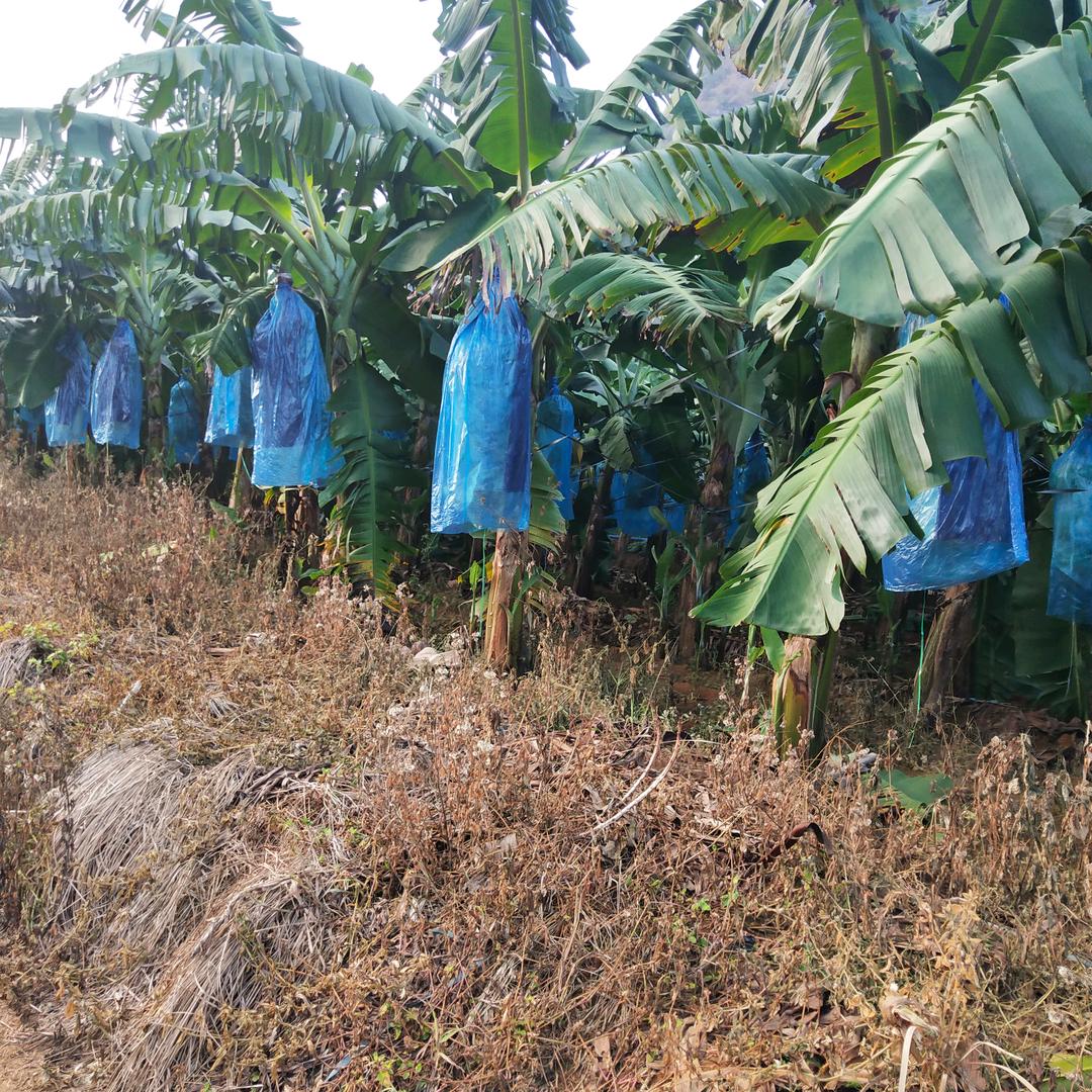 忘了以前，聊聊就聊聊