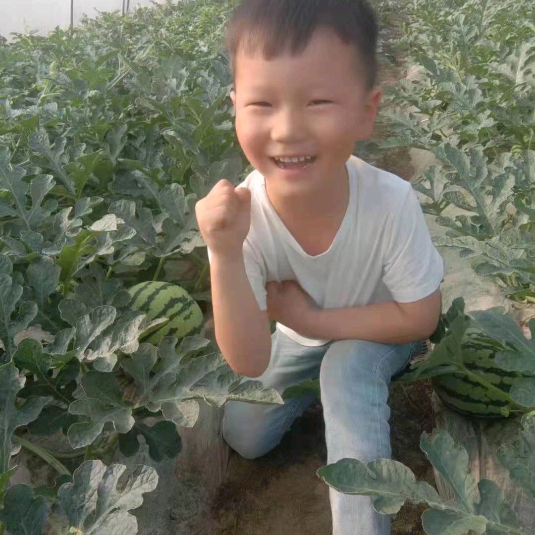 种西瓜的小伟