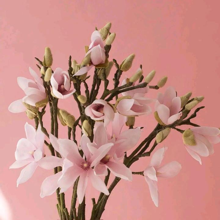 家有三宝