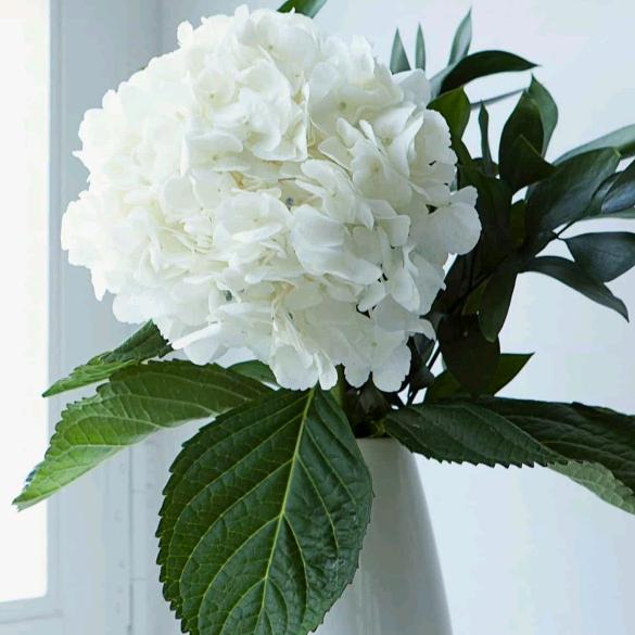 金牛区众信电器经营部