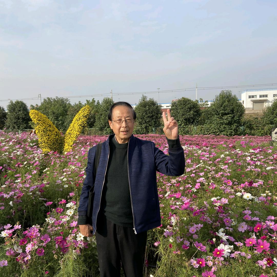 杨老师