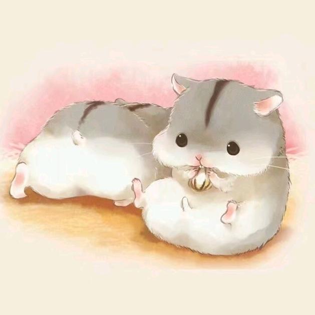 招娣