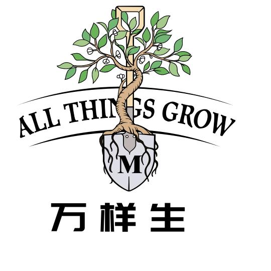 云南高山有机腐叶土