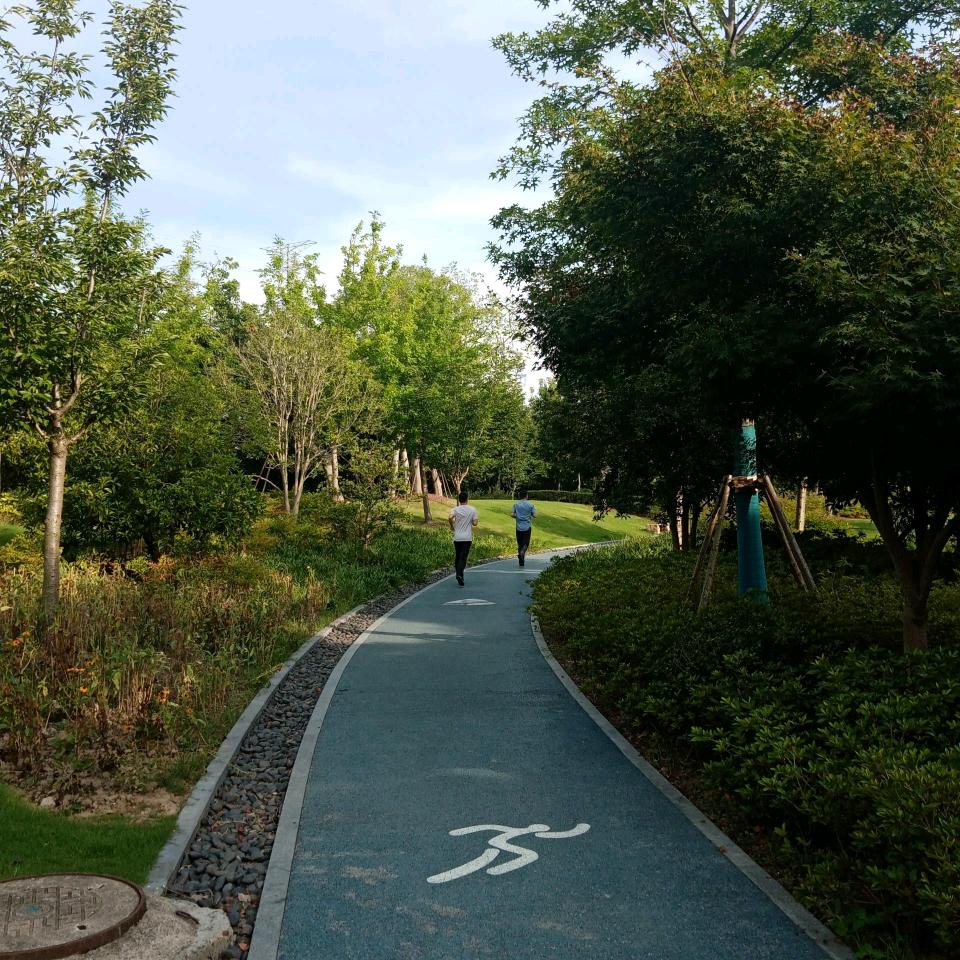 (/≧▽≦/)合适不