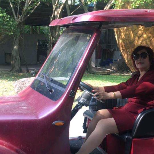 太阳红