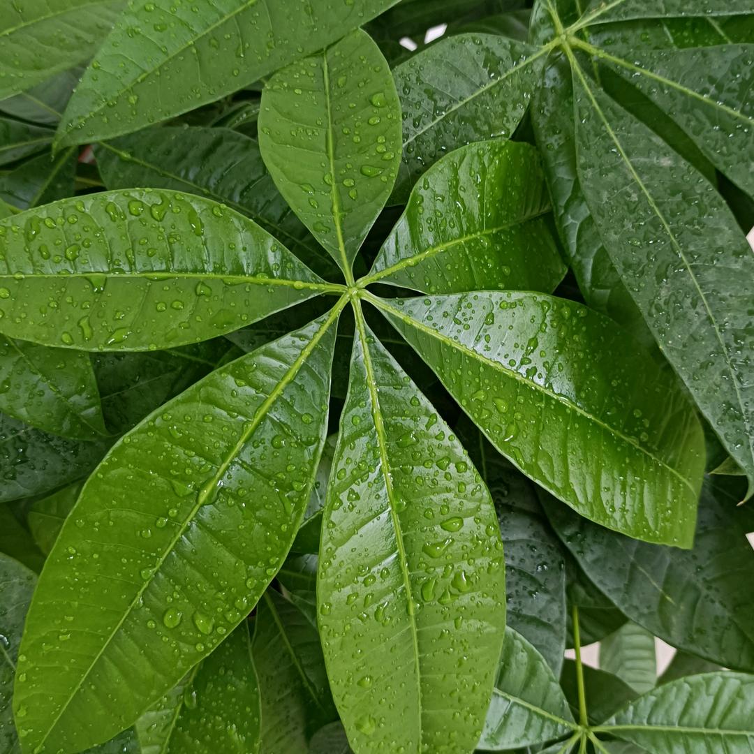 德拓电子德州德拓电子有限公司五金工具专卖店