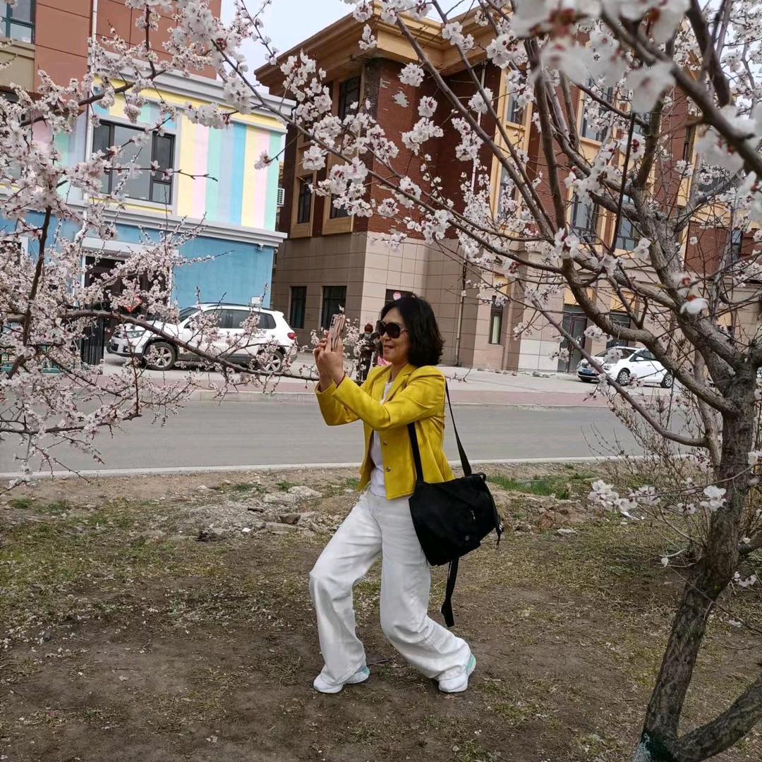 我是朱朱