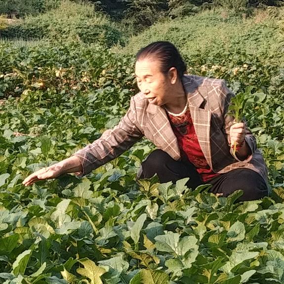 杜妈妈