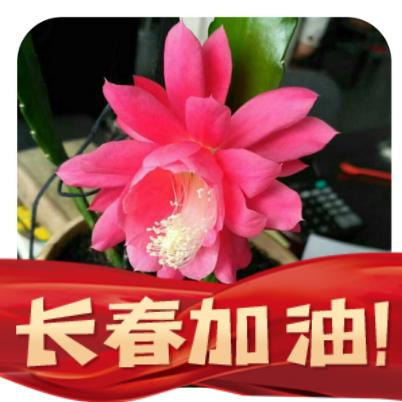马姐