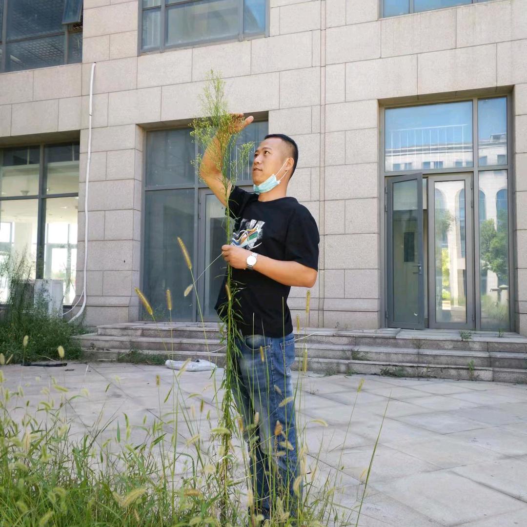 征程尽头的风景%