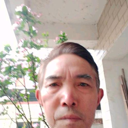 用户95202216