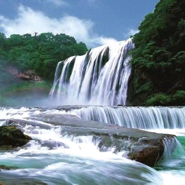 🦢🏙小敏🦢🏙