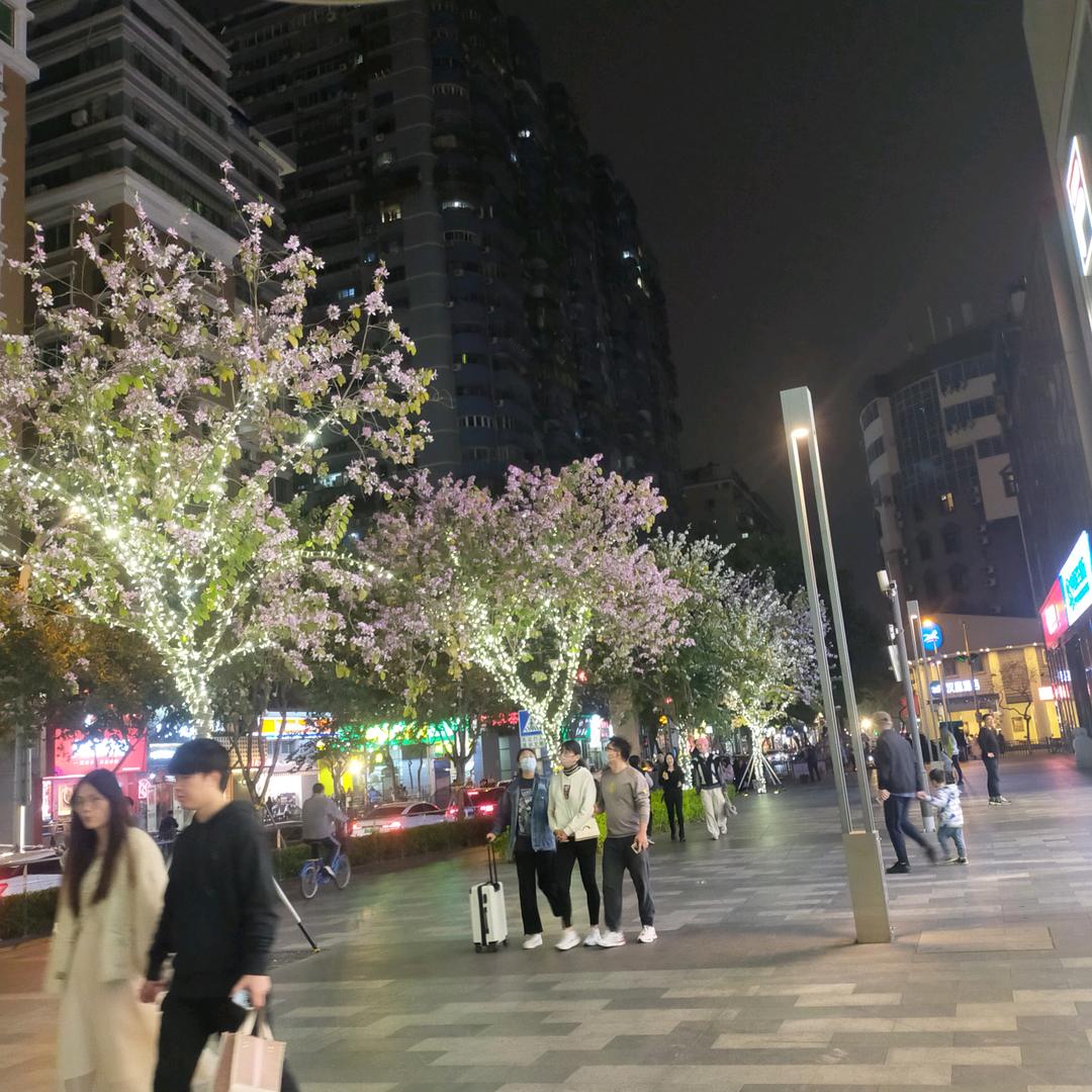 波大哥