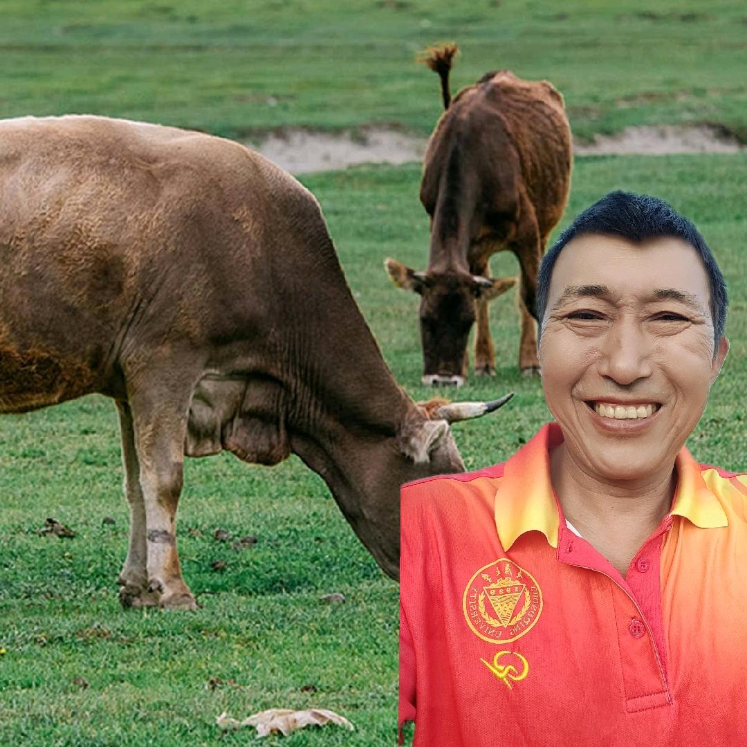 等来幸福