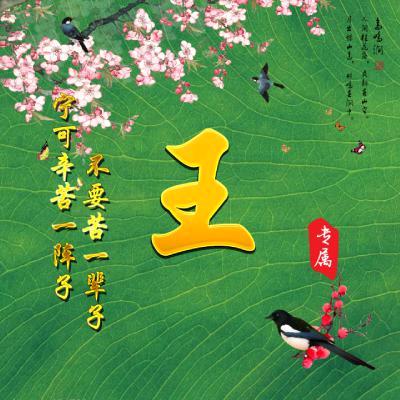 刺客（天家军）