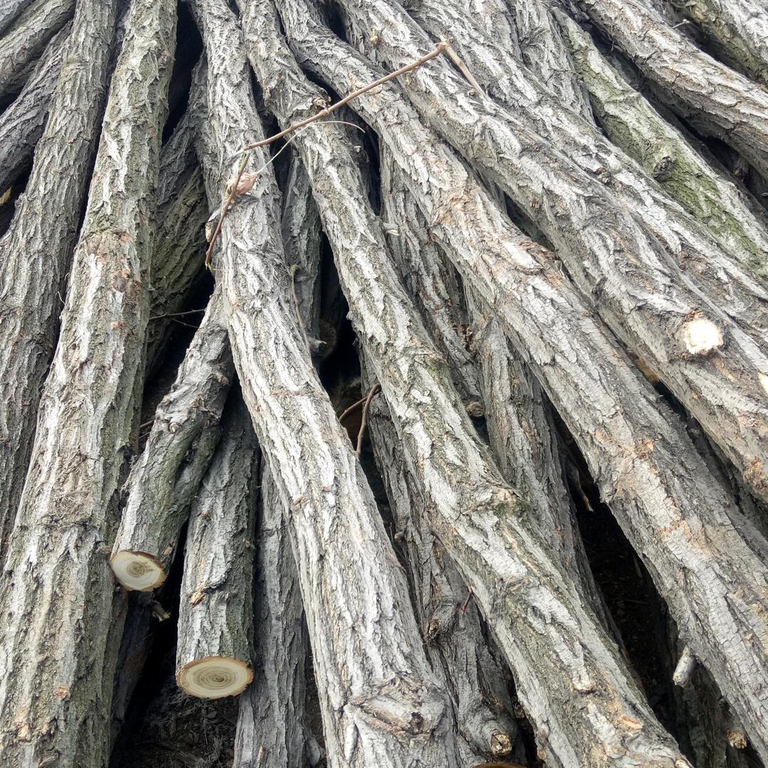 顺友木材，牧羊养殖