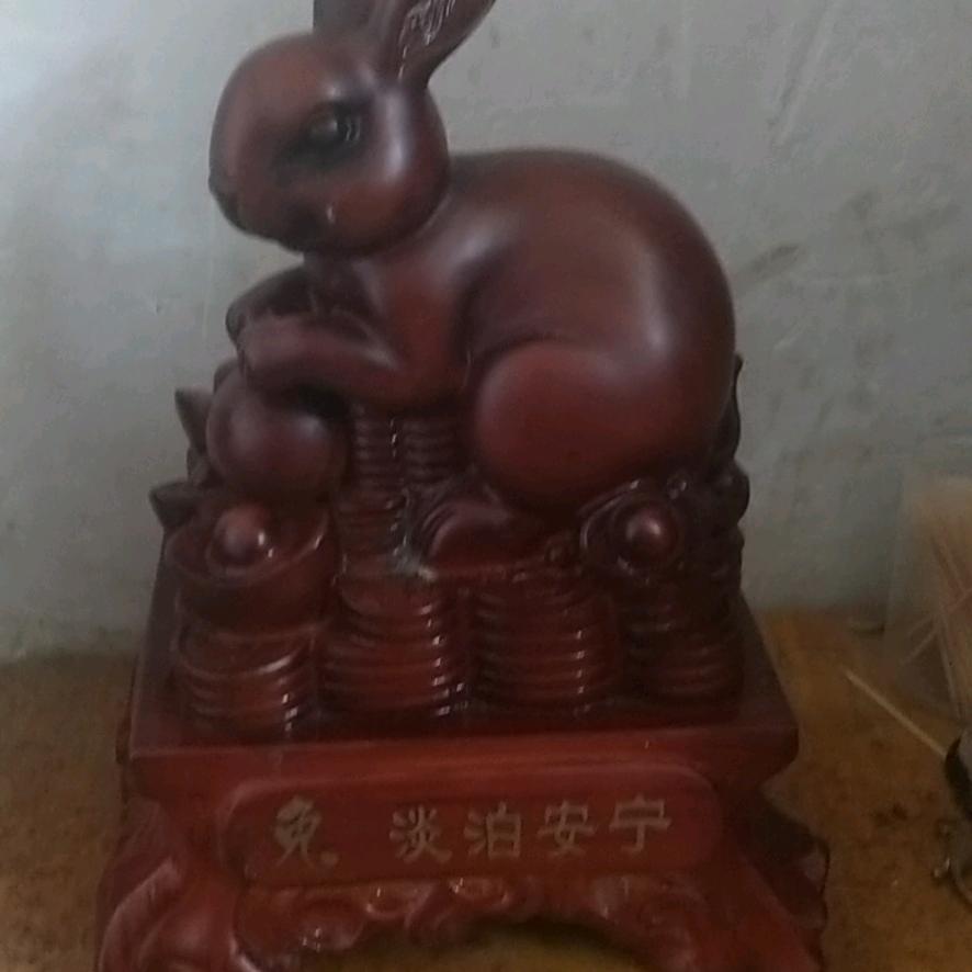 朱泰