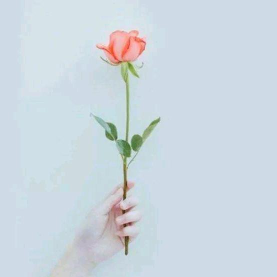 一念（打工版）