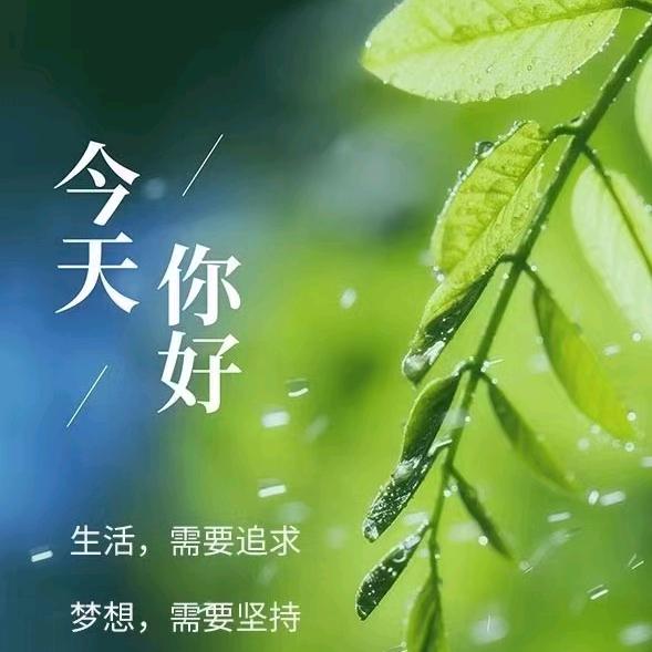 柳