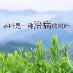 心静如水……