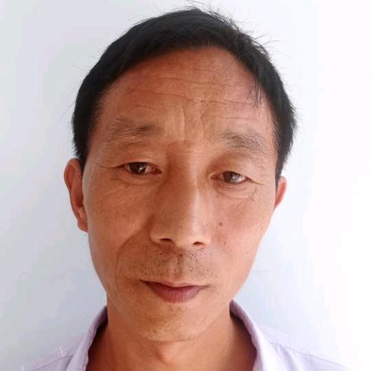 豫西农村养蜂人