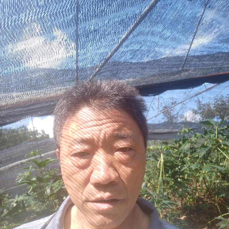 老曹种植每天上午十点半开播