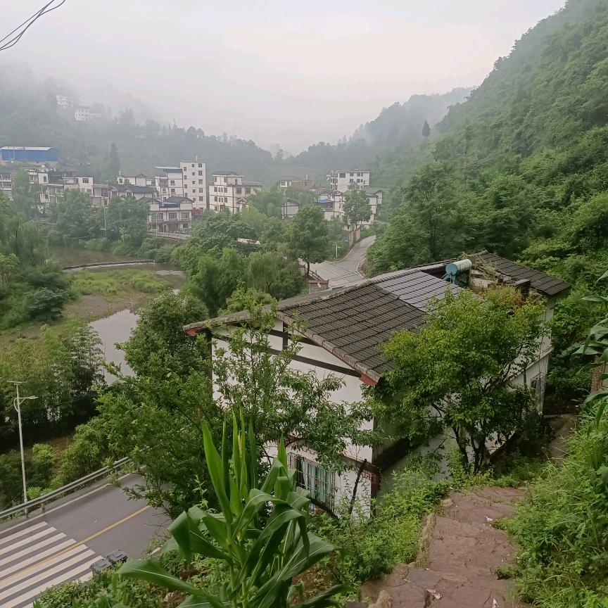有你真好！