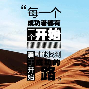 马建涛