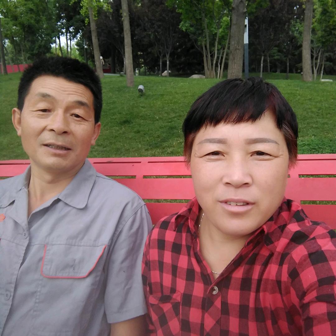 杨姐