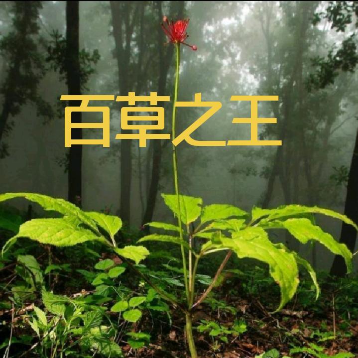 方 向 标 ♐