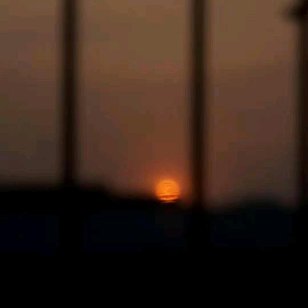 木瓜