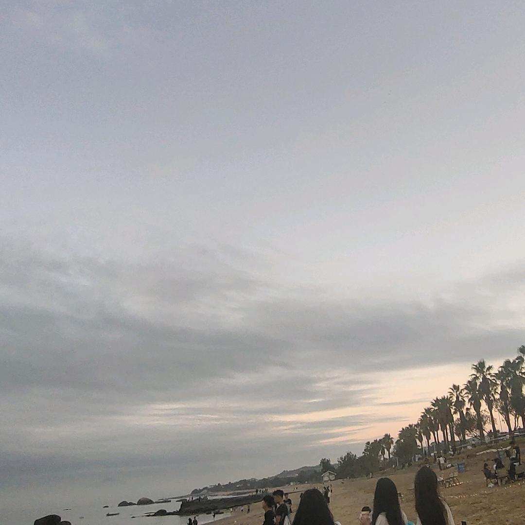 小小梅花
