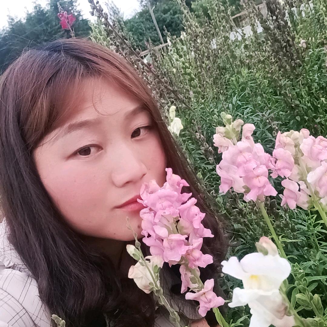我姓杨，向阳而生，逆光而行