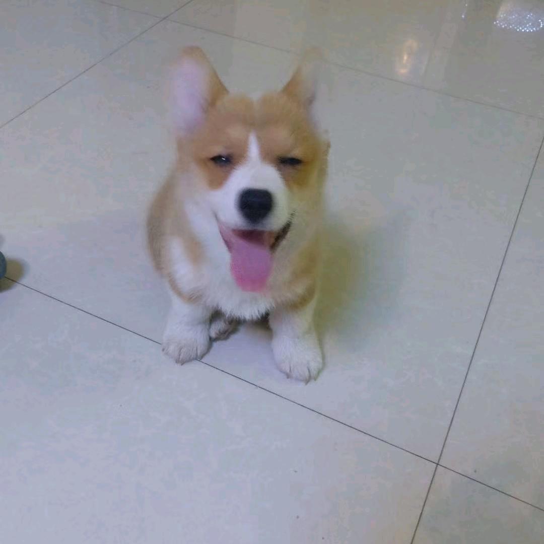 𒀱𒀱𒀱𒀱𒀱𒀱𒀱𒀱