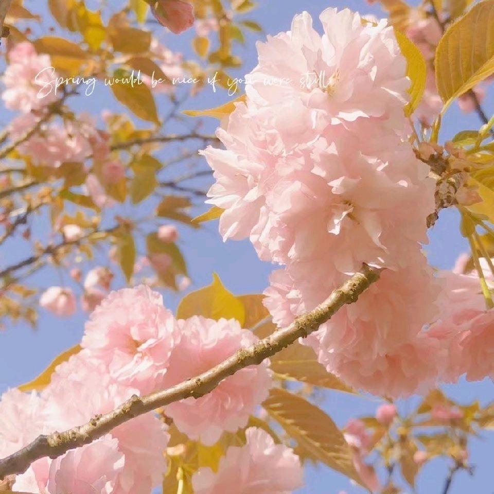 提赋.