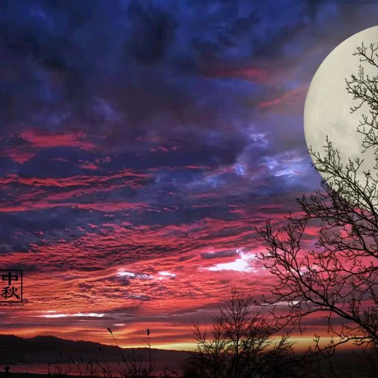 锋哥问界M7车主